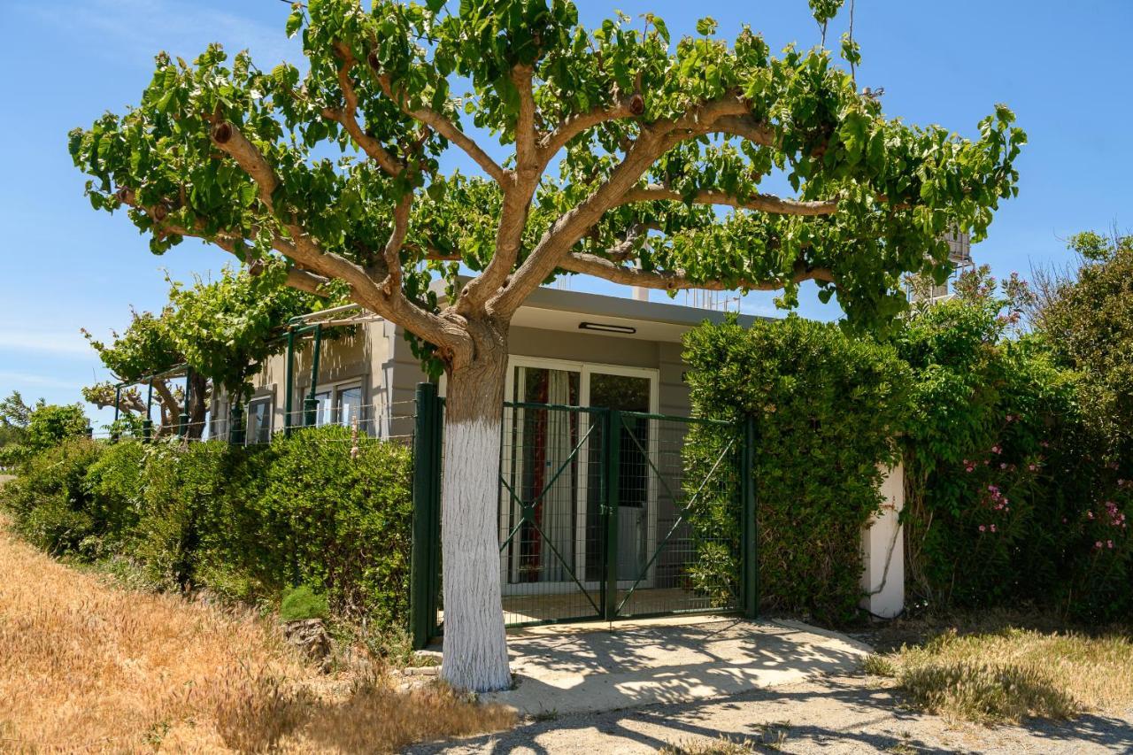 Petrakis Afrathias Garden House Βίλα Καλαμάκι Εξωτερικό φωτογραφία